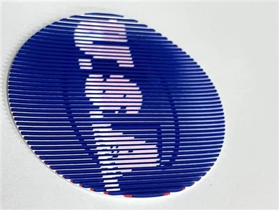 কাপড়ের জন্য 3D রাস্টার ইফেক্ট সিলিকন হিট ট্রান্সফার লেবেল